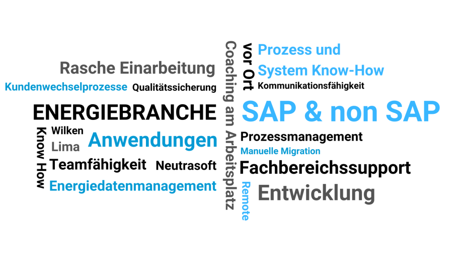 Schaubild aus Kreisen die Services in der Fachbereichsunterstützung abbilden